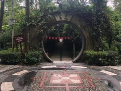 -广西壮族自治区药用植物园