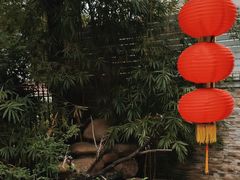-云溪植物园