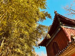-大觉寺-停车场