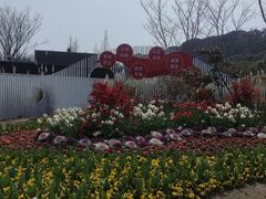 -苏州上方山国家森林公园