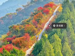 -大岭沟猕猴桃谷风景区