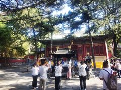 -潭柘寺景区