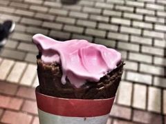 -富豪雪糕车流动点(尖沙咀)