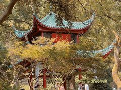 -岳麓山风景名胜区