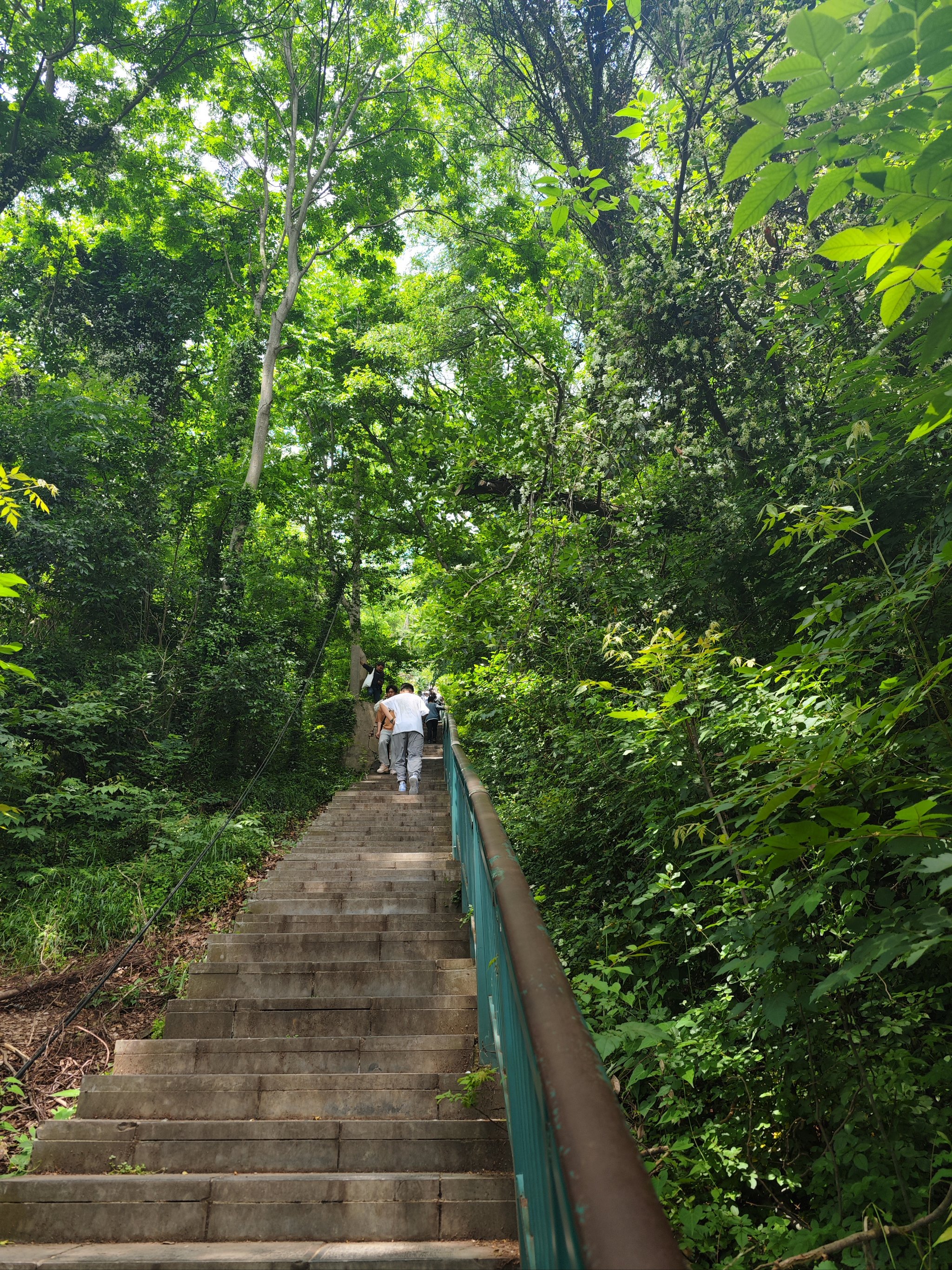 合肥大蜀山山顶图片