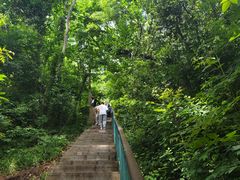 -大蜀山国家森林公园