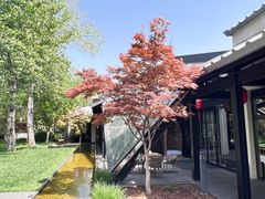 -禧宴Joyous Restaurant(禧园店)