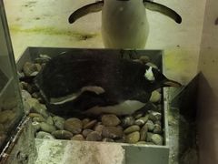-大连圣亚海洋世界