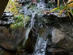 -广州白江湖森林公园