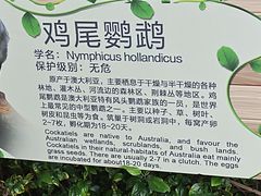 -广州长隆飞鸟乐园