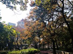 -八大关景区