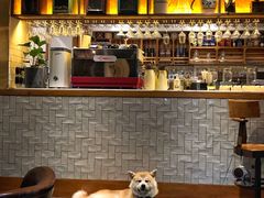 -BOCATA 西班牙餐厅(三里屯店)