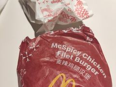 -麦当劳(洪山商场店)