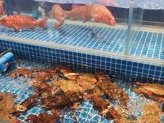 -锦色·烧鹅·海鲜(臻享店)