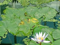 -国家植物园南园