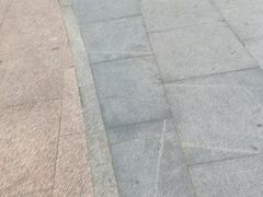 -滆湖低碳生态公园