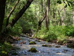 -玉渡山自然风景区
