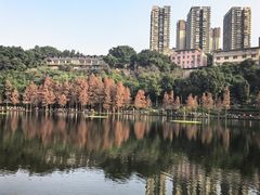 -重庆彩云湖湿地公园