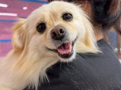 -FAELING PETS美天灵宠物(富力广场店)