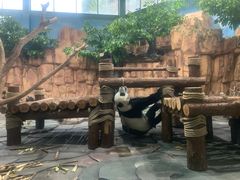 -泉州海丝野生动物世界