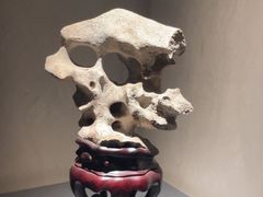 -觀芷隐轩
