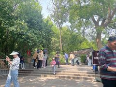 -上海佘山国家森林公园西佘山园