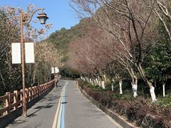 -杭州半山国家森林公园