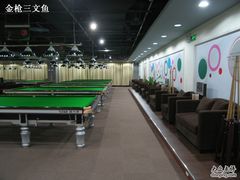 -丁俊晖台球俱乐部(海上海·弘基休闲广场店)