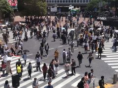 -涩谷全向十字路口