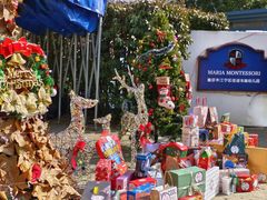 -玛利娅蒙特梭利双语幼儿园·托育(百家湖直营园)