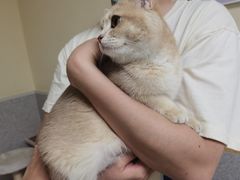 -谐和贝康宠物医院24小时·宠保定点(急重症转诊中心)