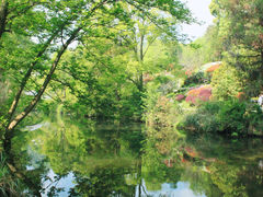 -阿哈湖国家湿地公园