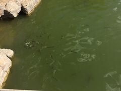 -迎泽公园