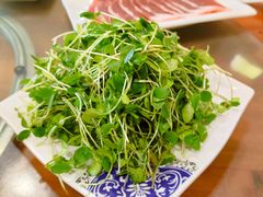 -福寿斋·老北京铜锅涮肉·烧烤(清岚店)