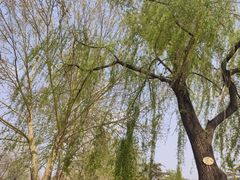-睦南公园