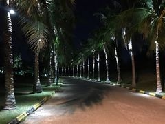 -三亚珠江南田温泉度假区