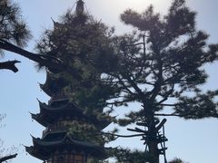 -龙华寺