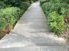 -宝界山林公园