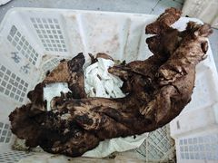 -蘑统田下·野生菌火锅