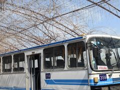 -河北村民俗体验园