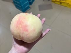 -老袁家蜜桃农场·阳山水蜜桃