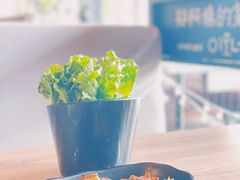 -郑阿姨的家·이모네·韩料&烤肉(武川路店)