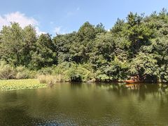 -天目湖山水园