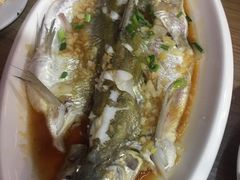 清蒸白水鱼-长廊好灶头 本地人农家菜(枫泾古镇店)