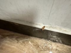 -蓝凯宾馆(和平西桥地铁站店)