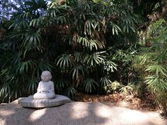 -安海五叔公土笋冻(西街店)