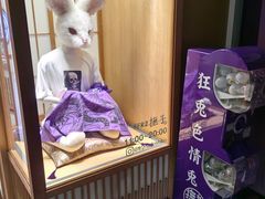 -四条大桥