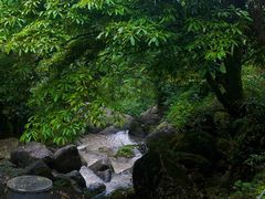 -龙窝子