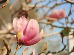 -烈士陵园(地铁站)