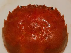 -星伦多自助料理(龙湖虹桥天街店)